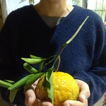 User profile avatar